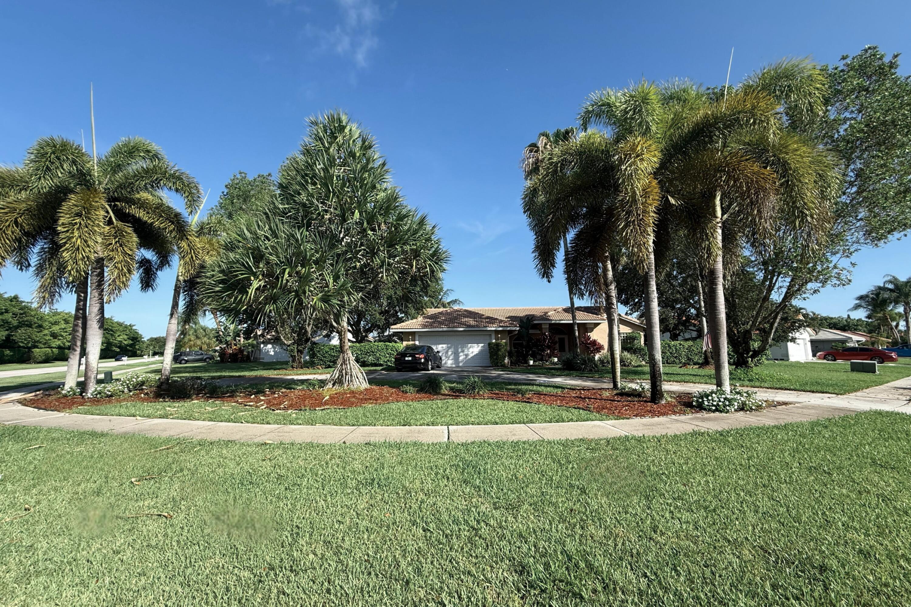 10884 Paso Fino Drive — Photo 2