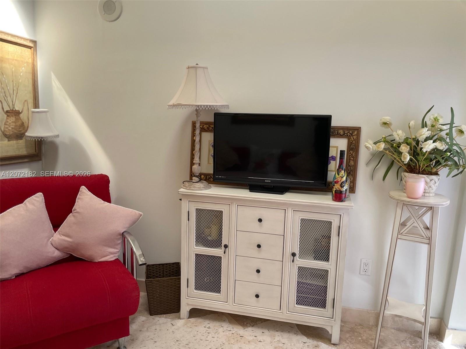 TV AREA