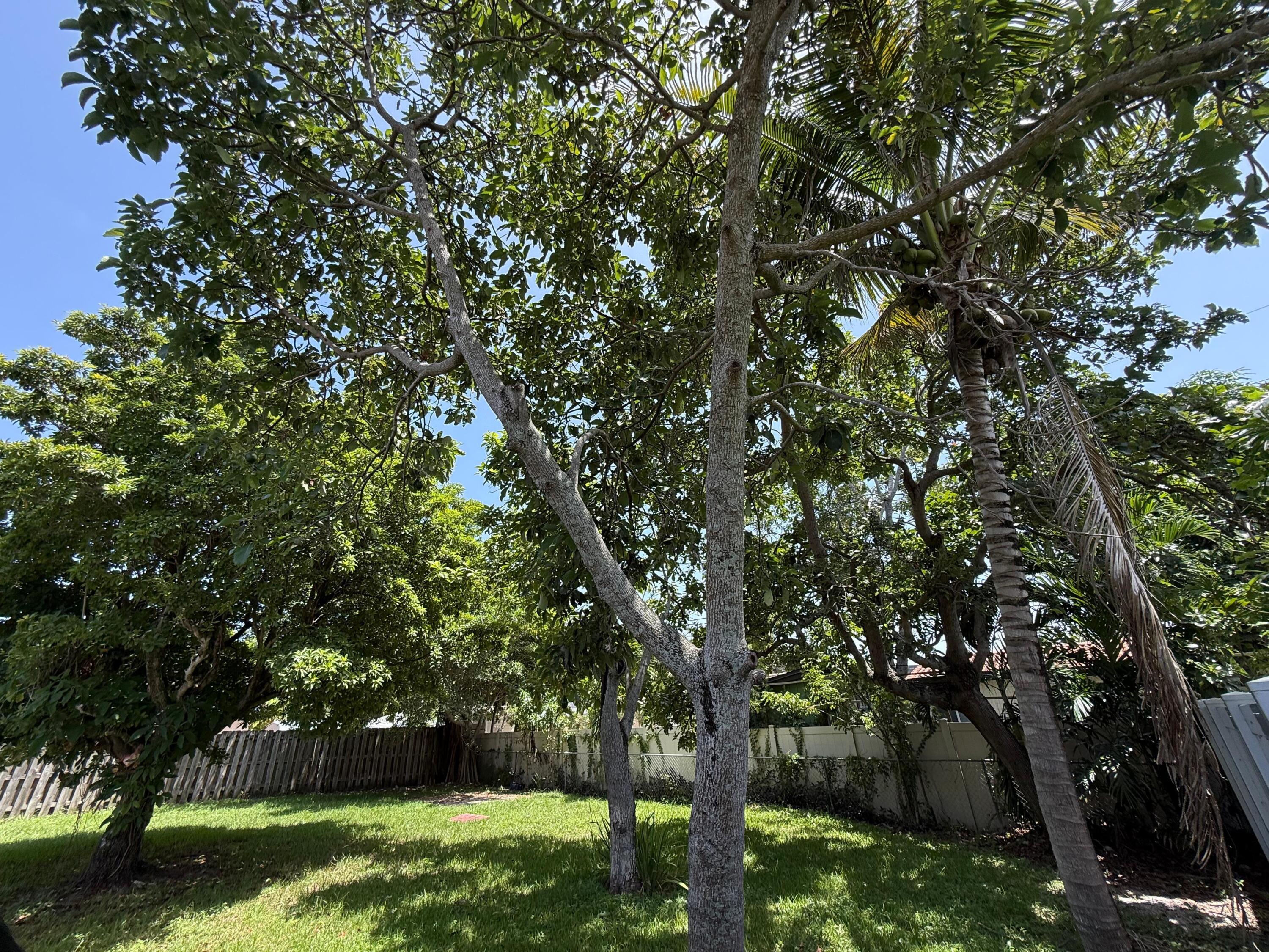 637 SW 2ND Street — Photo 4