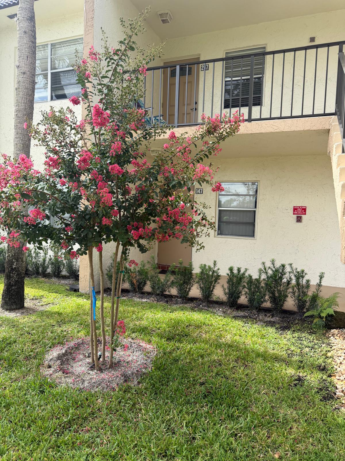 150 Lake Meryl Drive # 247, West Palm Beach FL 33411