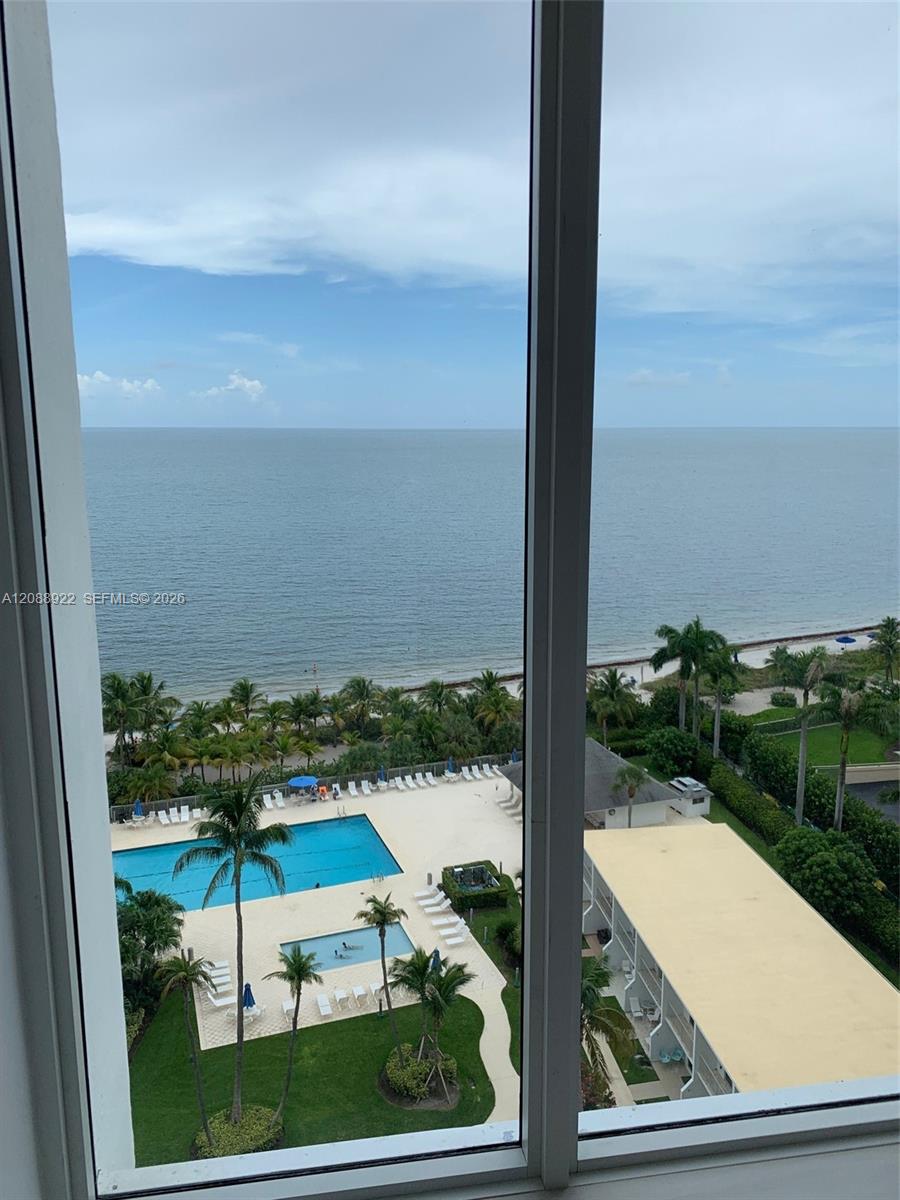 view