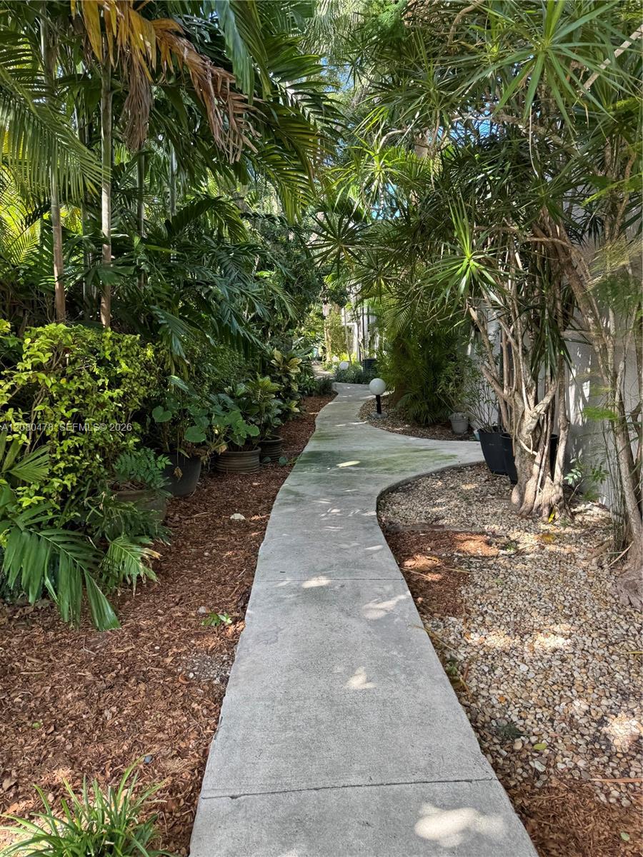 Trail leading to the unit