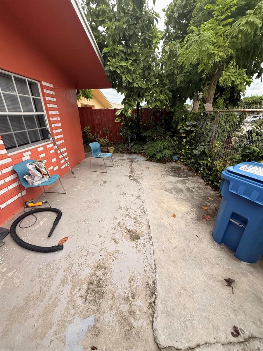 IMG_4351