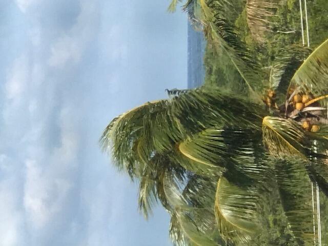 275 Palm Avenue # C503, Jupiter FL 33477