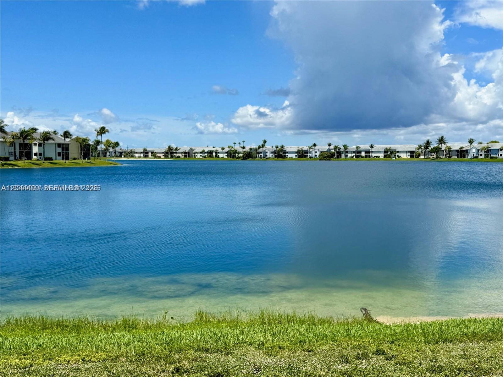 1044 S Independence Dr # 1044I View 10