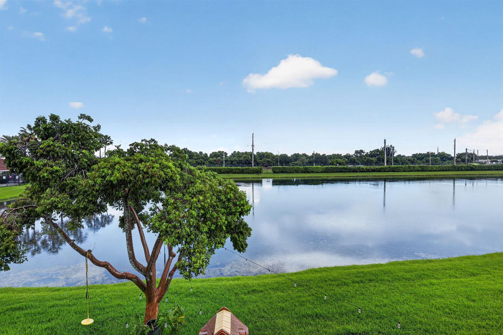 31-web-or-mls-8H3A9517