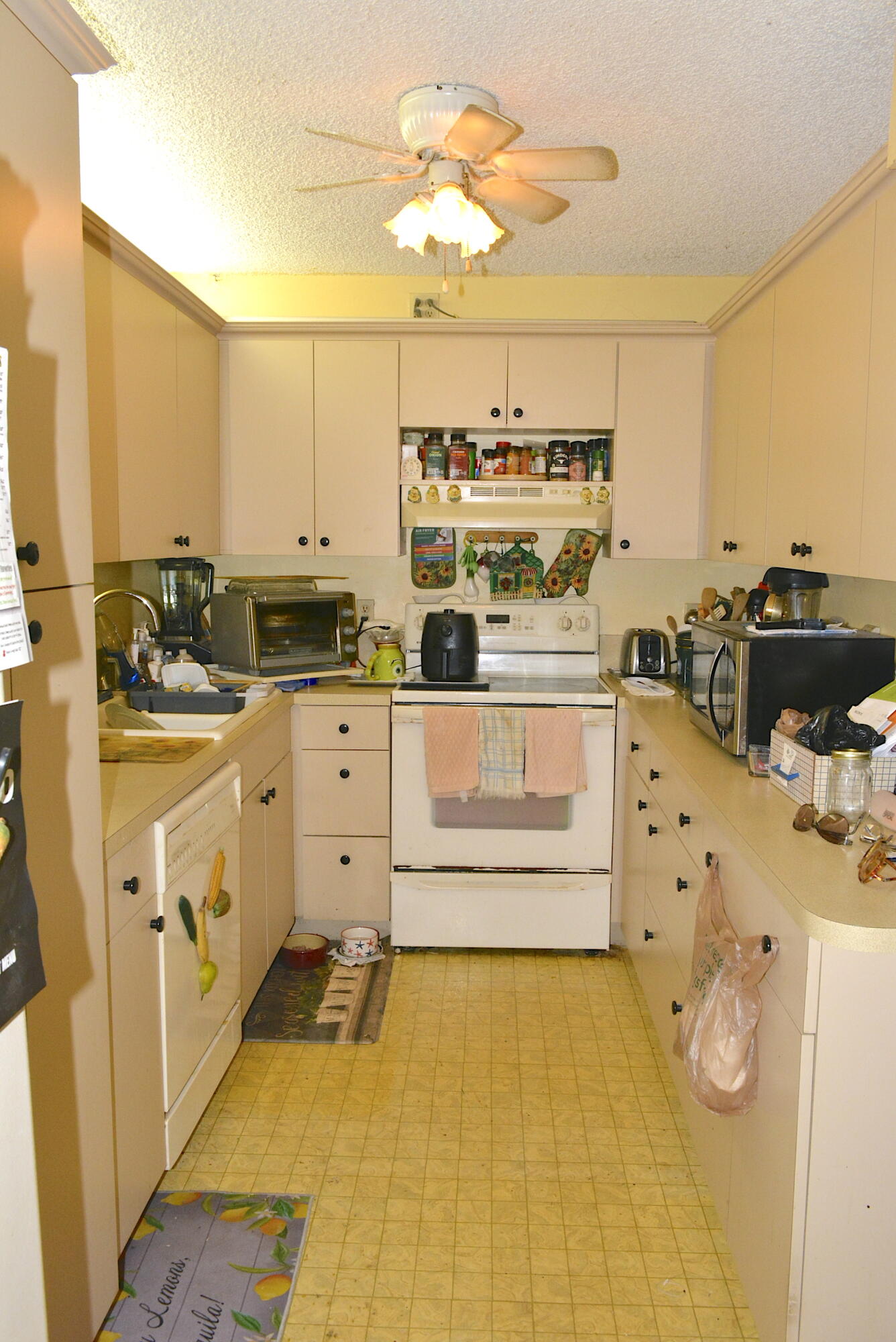 3726 Savoy Lane # D2 — Photo 4
