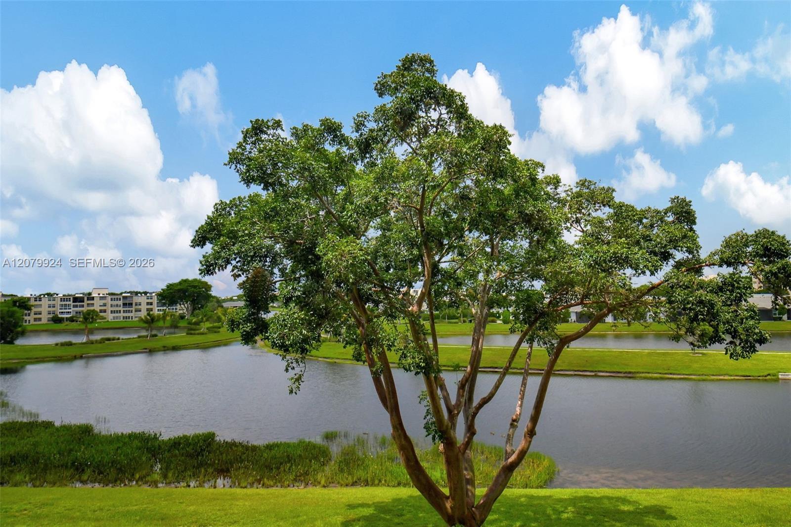 14575 Bonaire Blvd # 308 — Photo 4