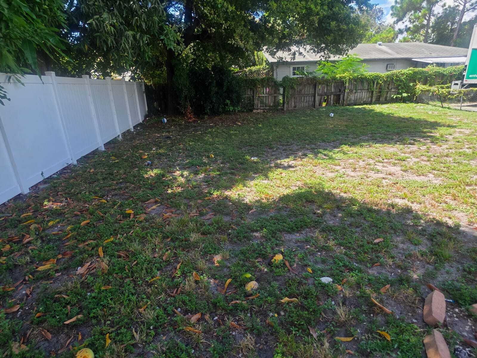 Backyard
