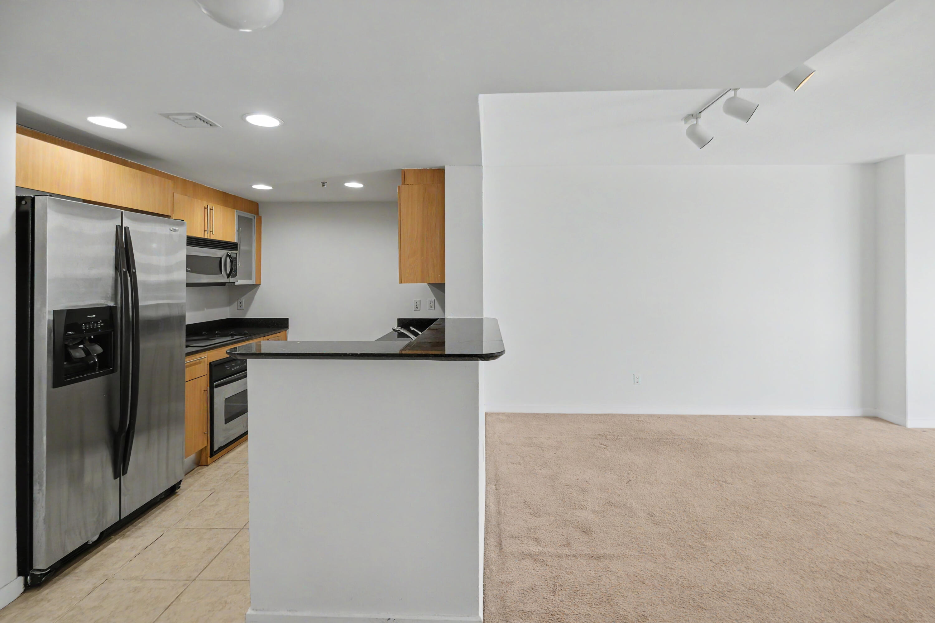 335 S Biscayne Boulevard # 1002 — Photo 3