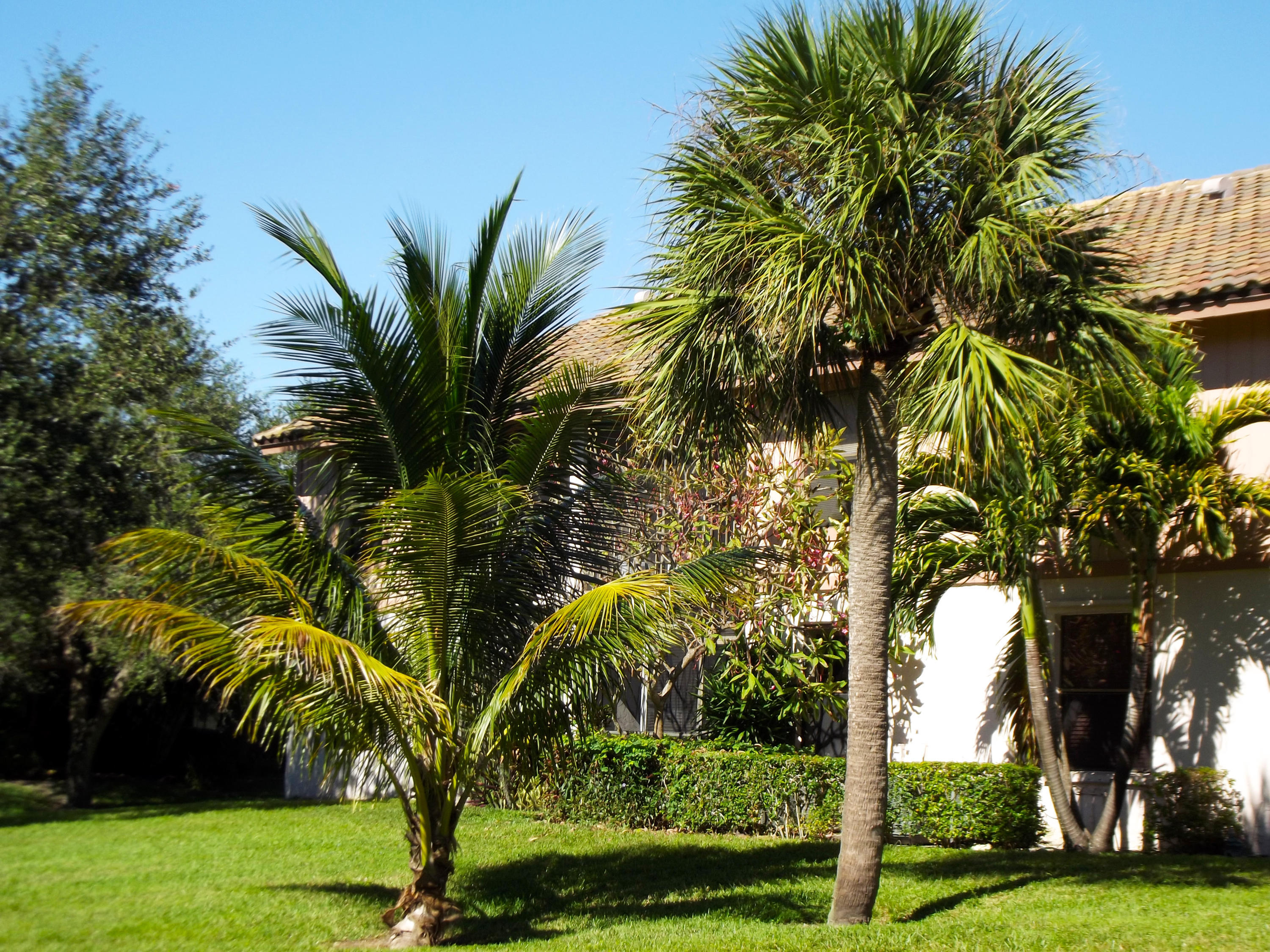 3355 Jaywood Terrace # 2140, Boca Raton FL 33431