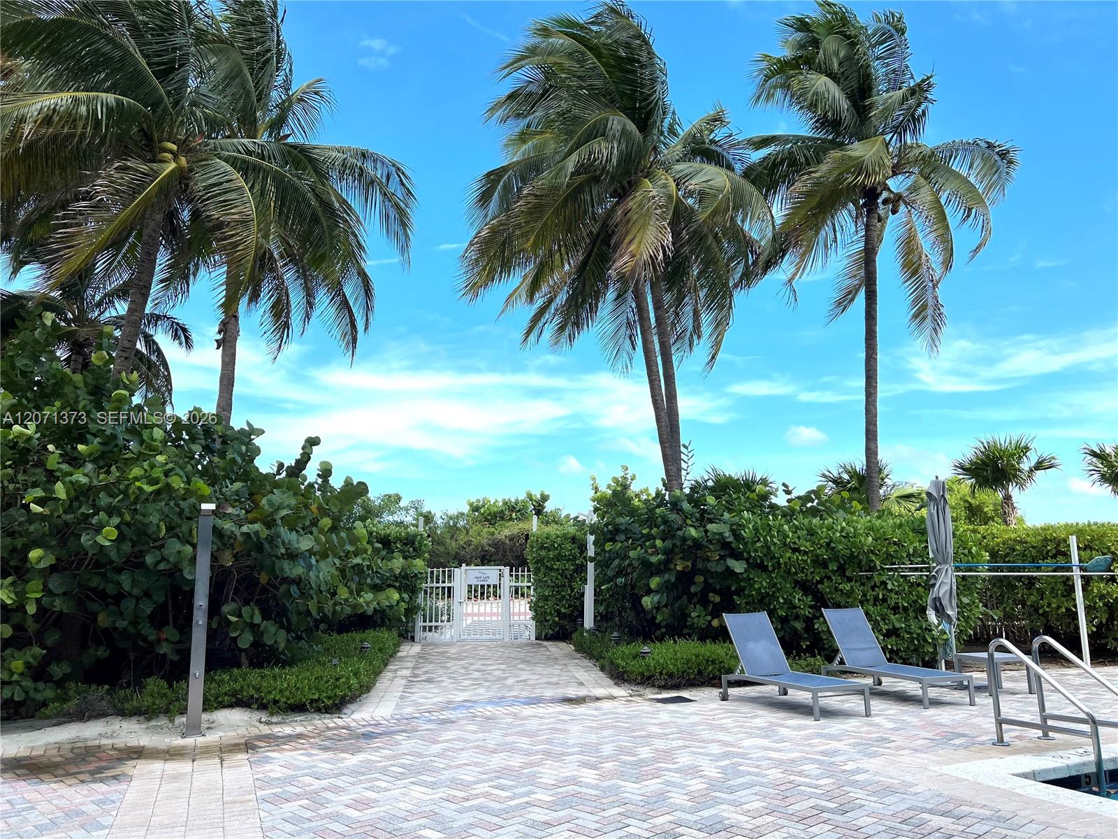 6515 Collins Ave # 1801 View 15