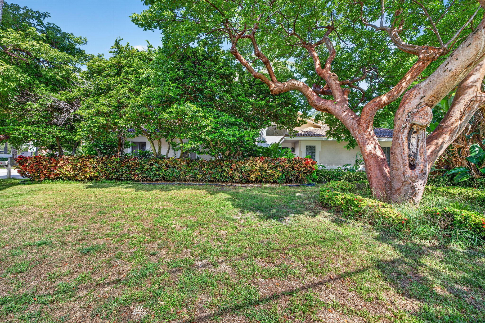 1920 E Terra Mar Drive — Photo 2