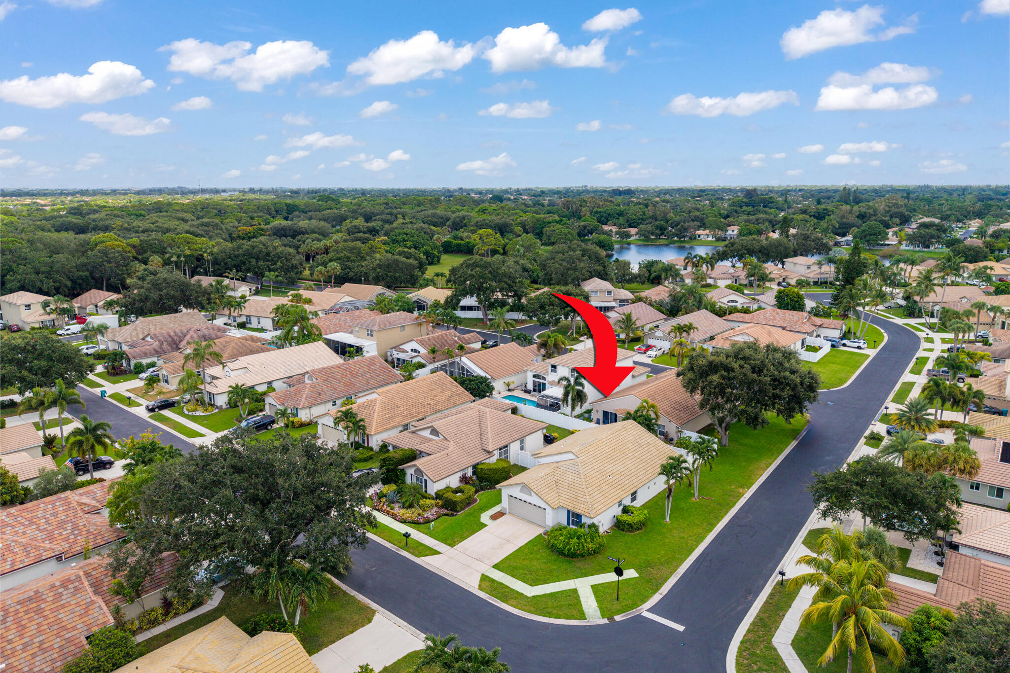 7816 MANOR FOREST Lane — Photo 3
