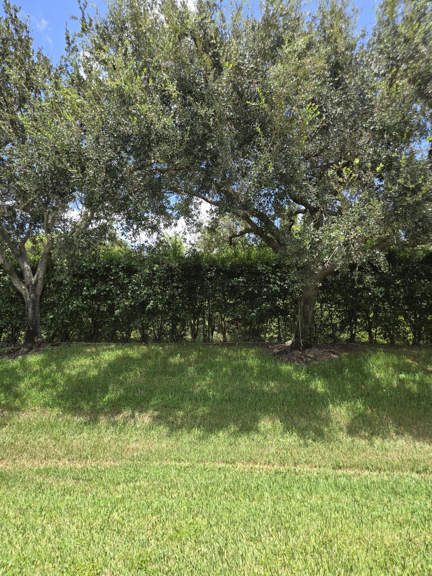 2680 CLIPPER Circle — Photo 3