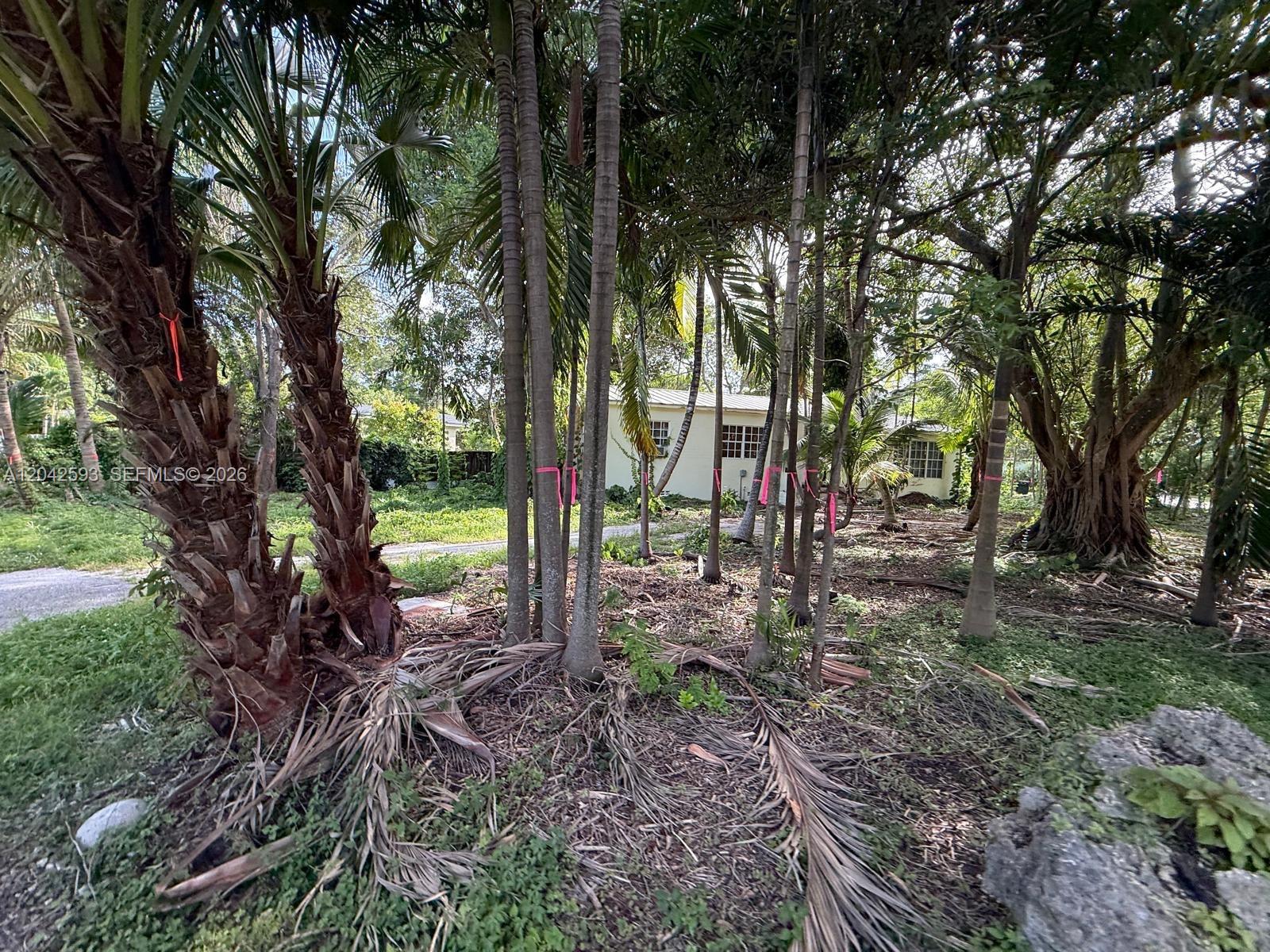 6600 SW 64th Ct, South Miami FL 33143