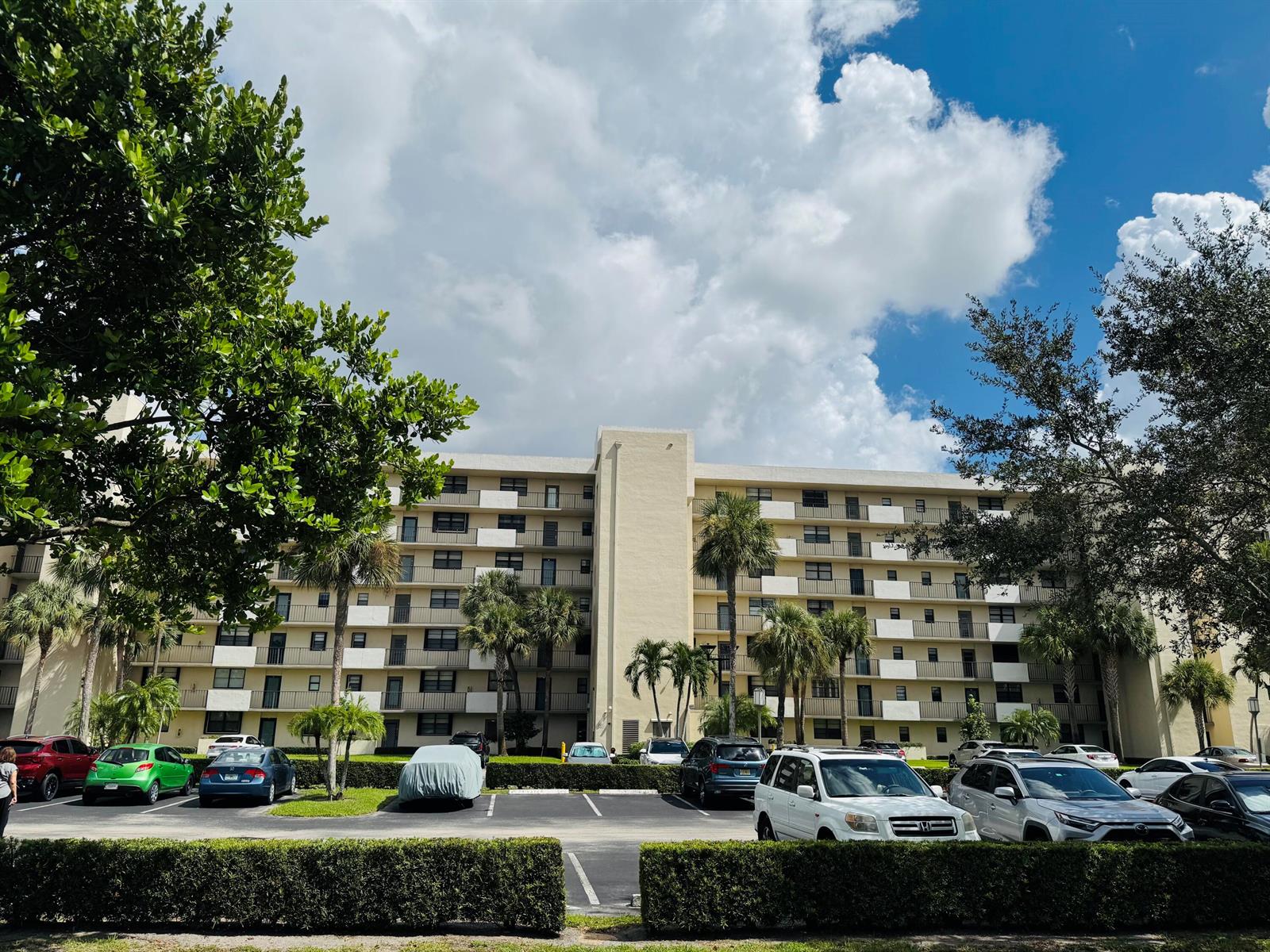 IMG_2638 (1)