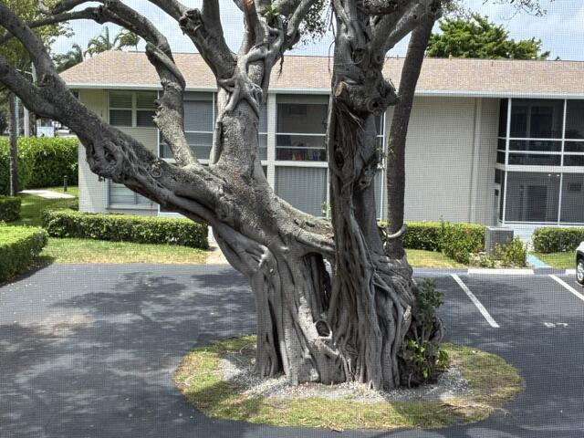 620 Horizon W # 202, Boynton Beach FL 33435
