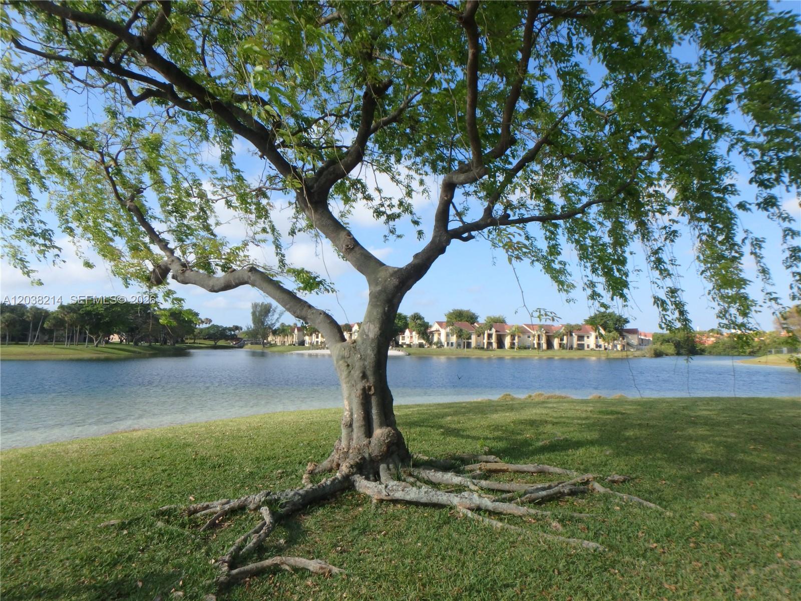 9727 Hammocks Blvd # 101D — Photo 4