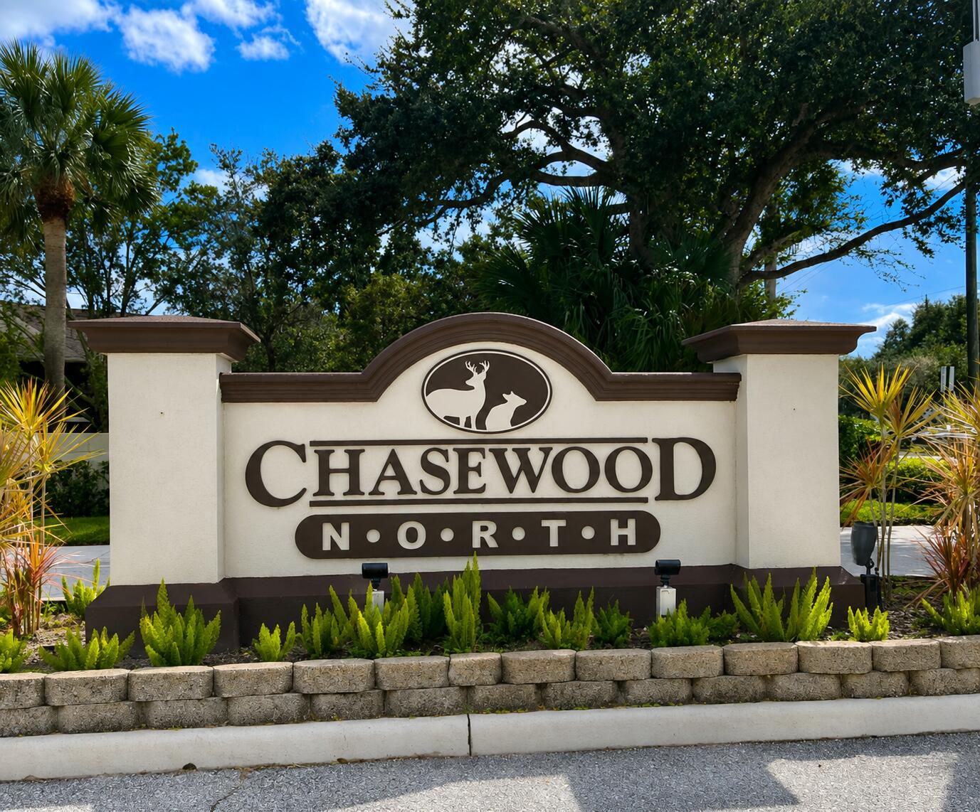 6519 Chasewood Drive # D — Photo 3