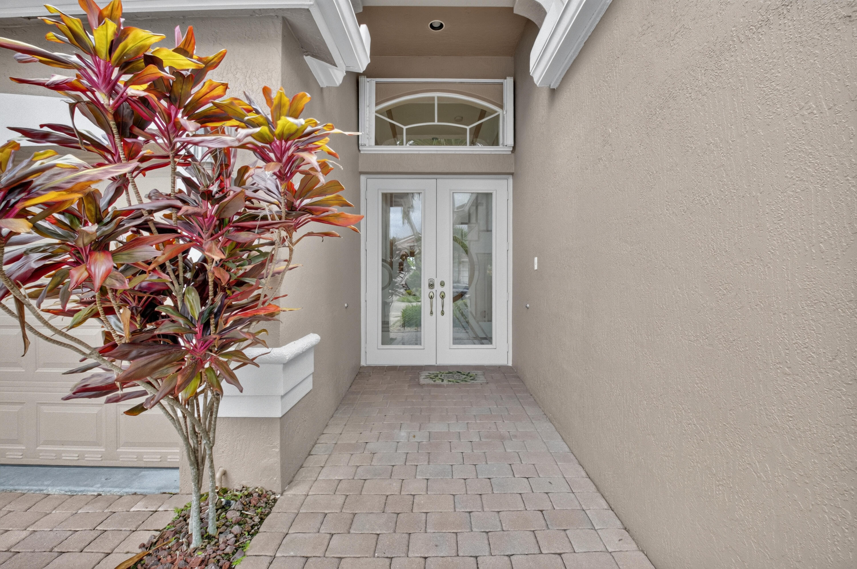 6561 PISANO Drive — Photo 5