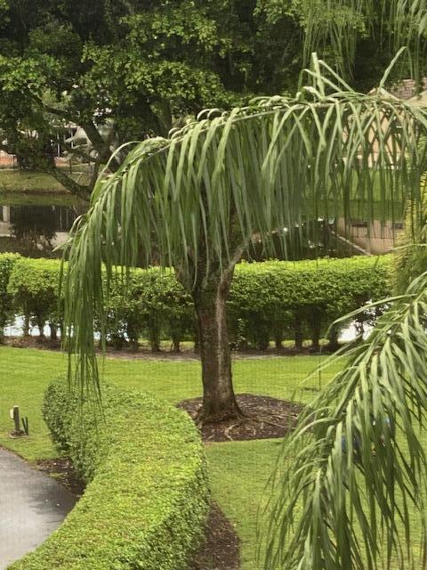 20080 Boca West Drive # 448 — Photo 2
