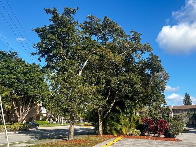 10332 SUNRISE LAKES Boulevard # 111, Sunrise FL 33322