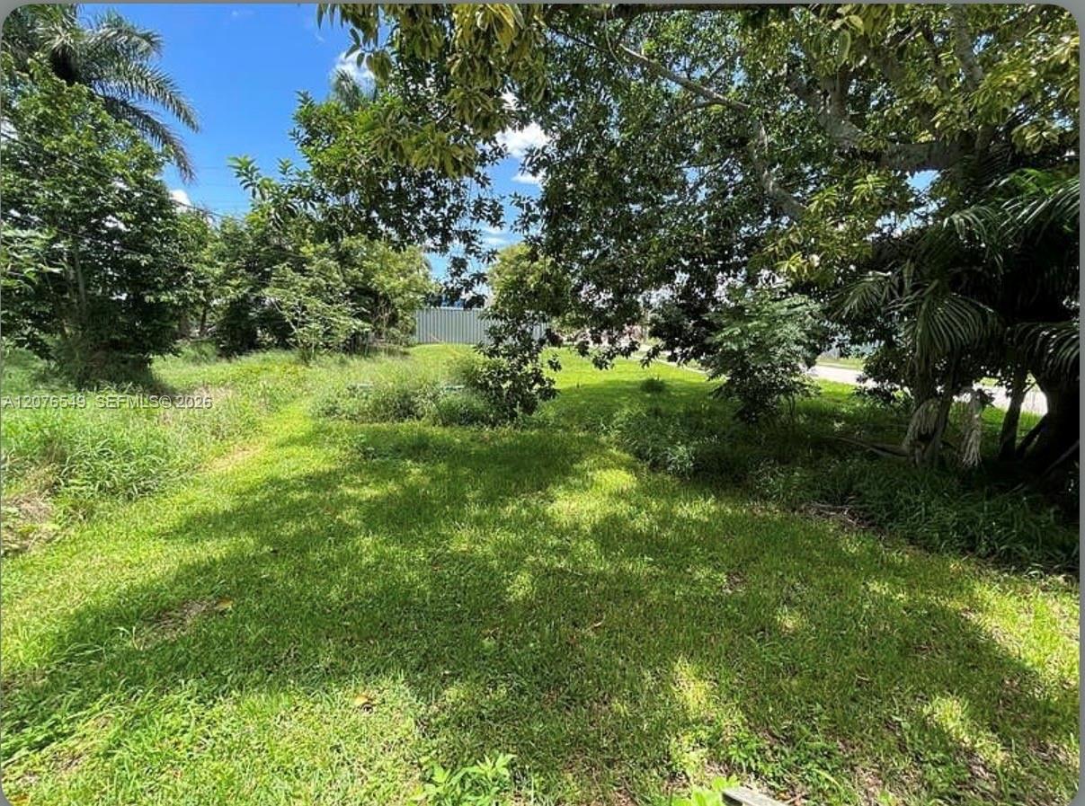 398 Cypress Ave — Photo 4