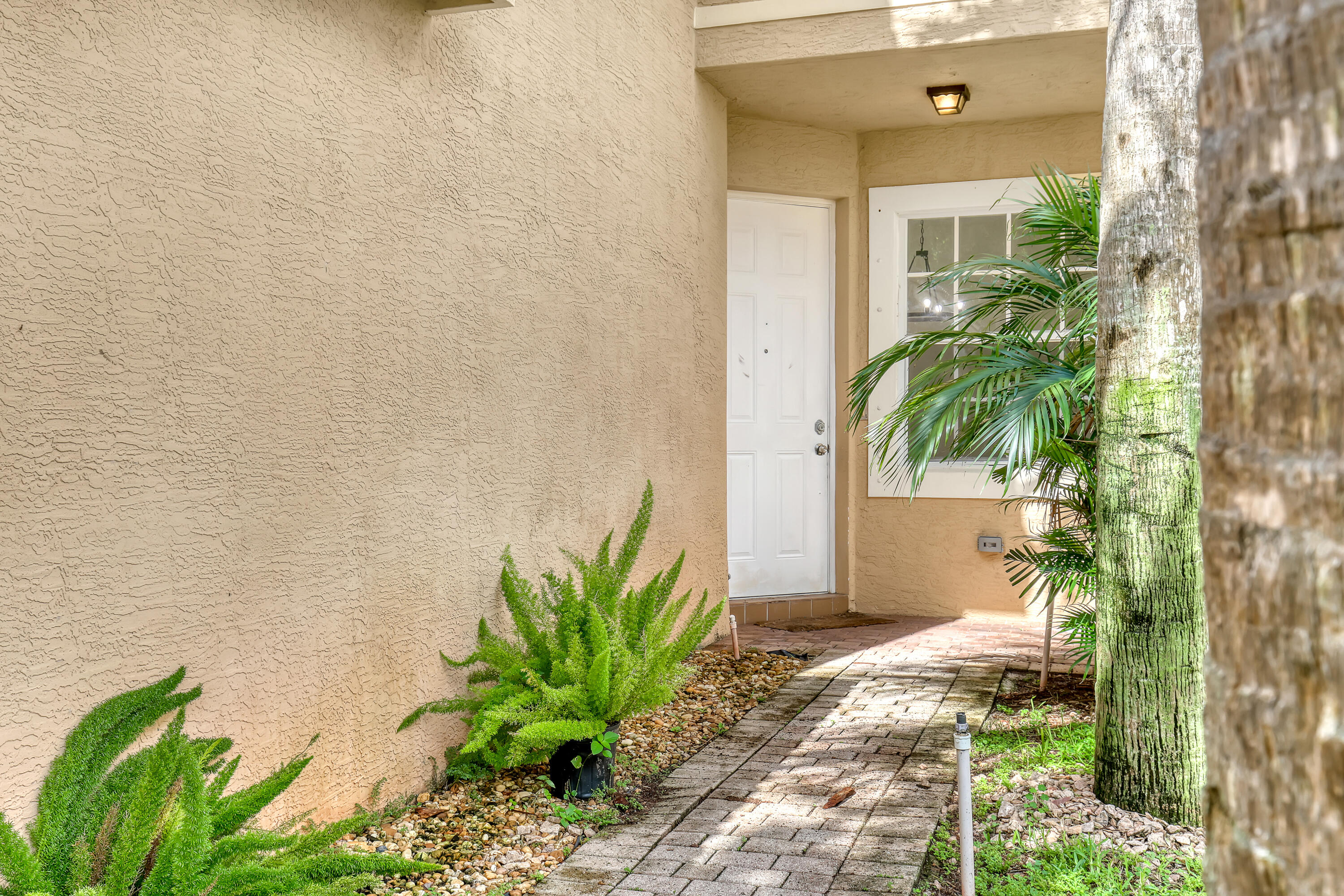 10585 COCOBOLO Way — Photo 4