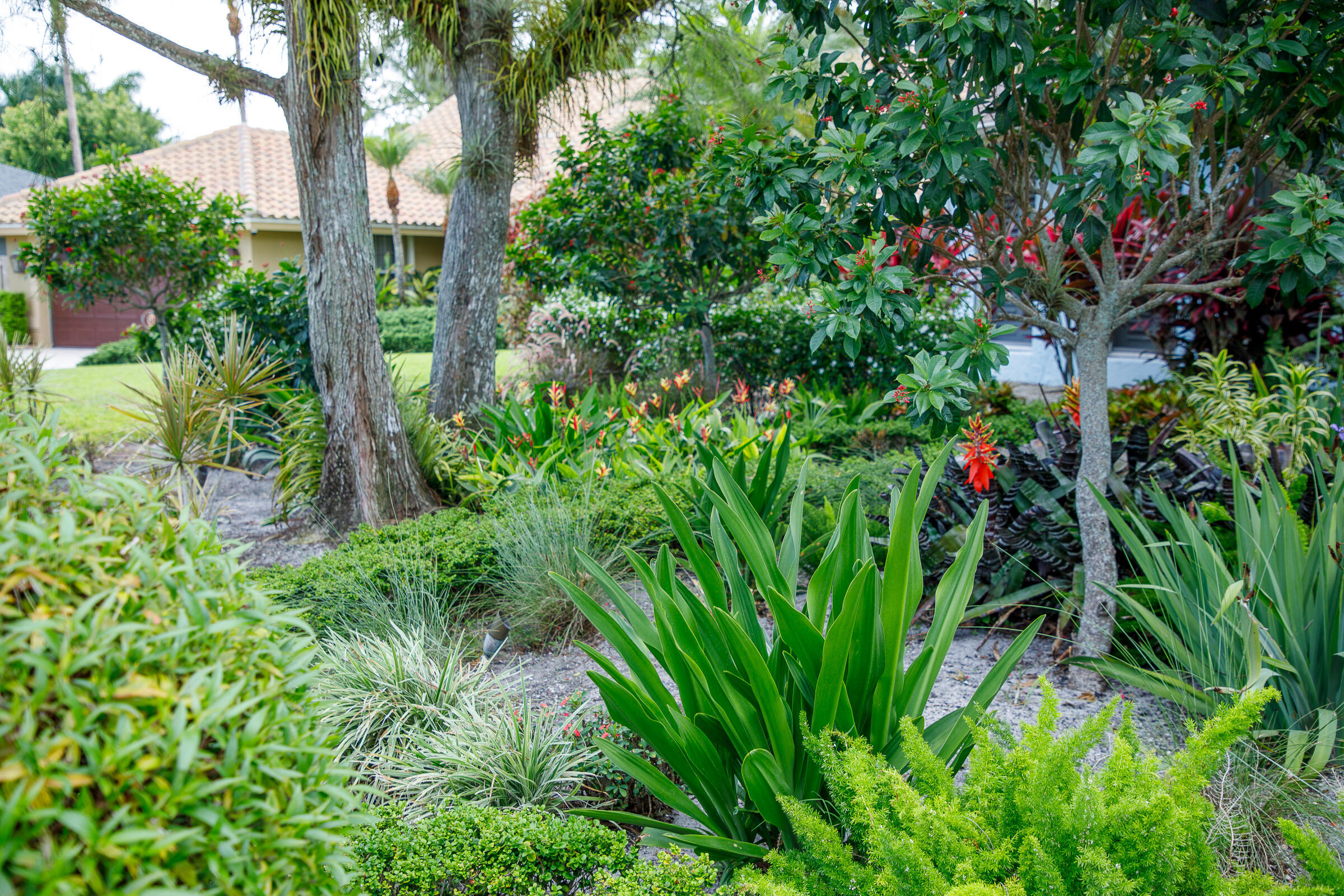 900 COSMOS Court — Photo 3