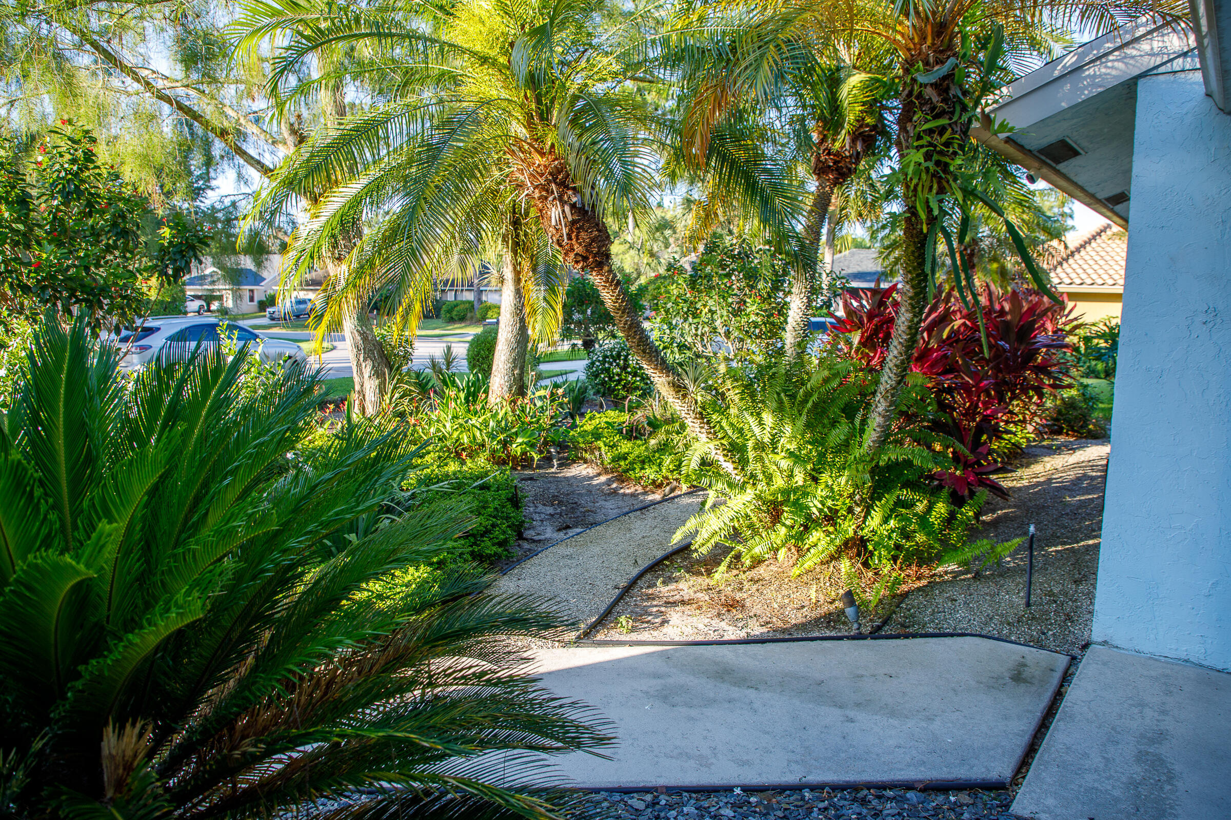900 COSMOS Court — Photo 4