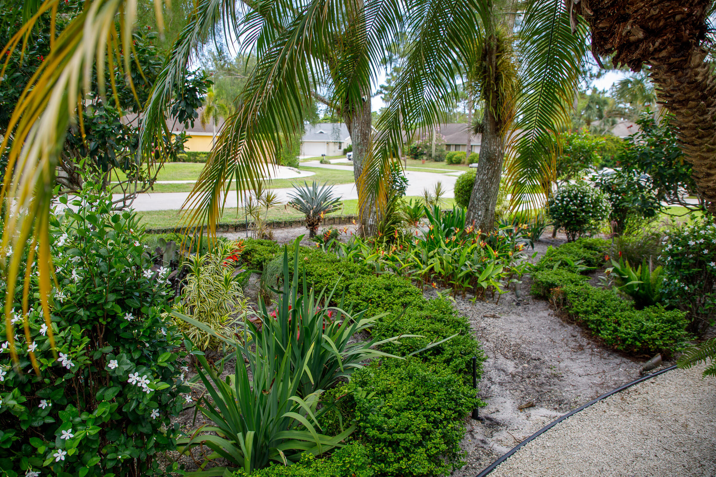 900 COSMOS Court — Photo 5