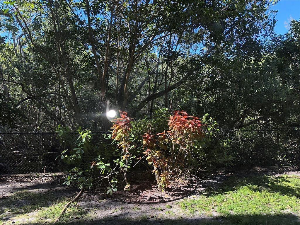529 E Sheridan Street # 1081, Dania Beach FL 33004