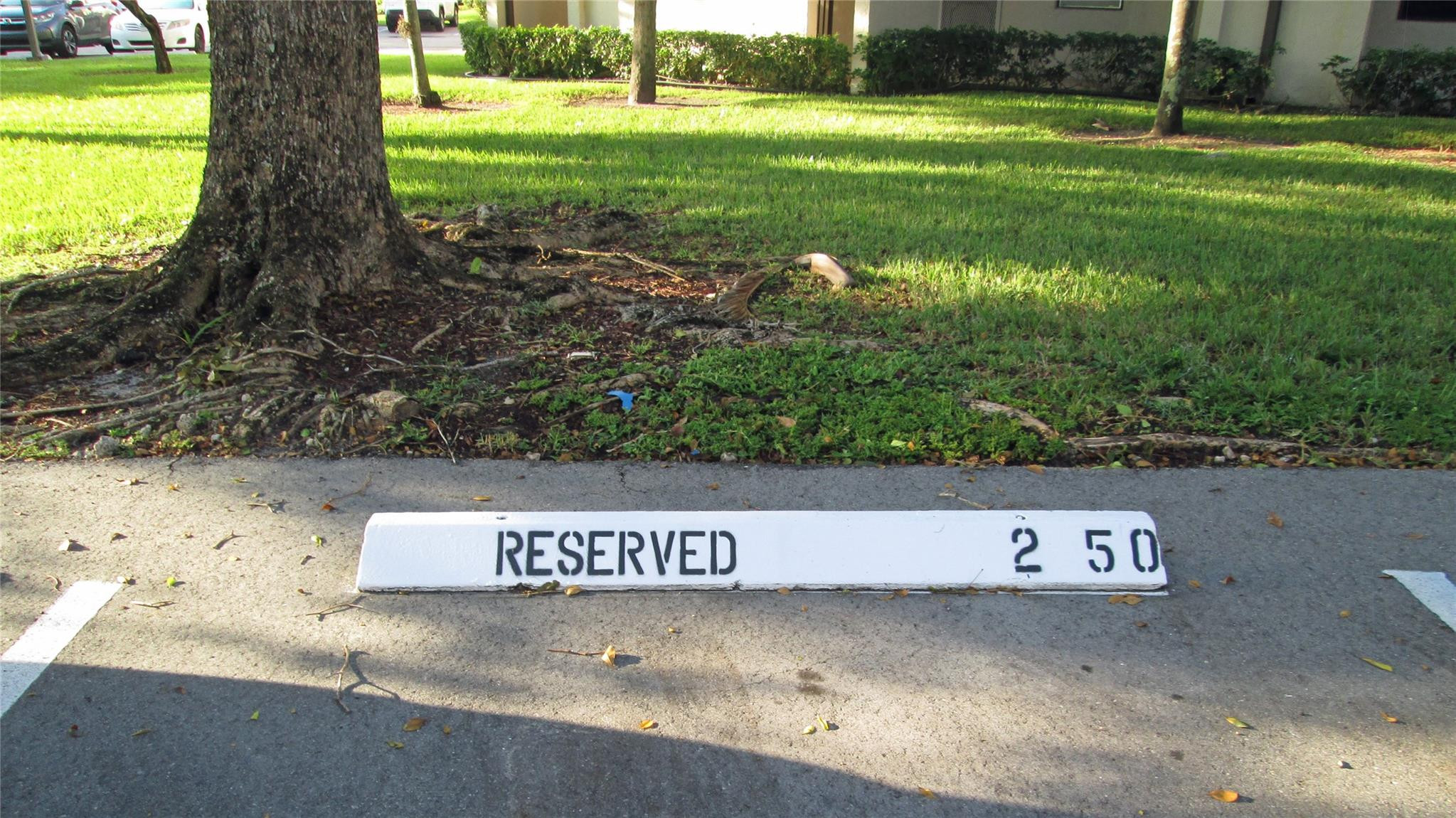 6351 N UNIVERSITY Drive # 224 — Photo 4
