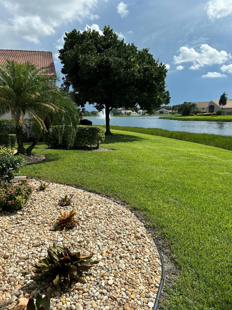 Yard view