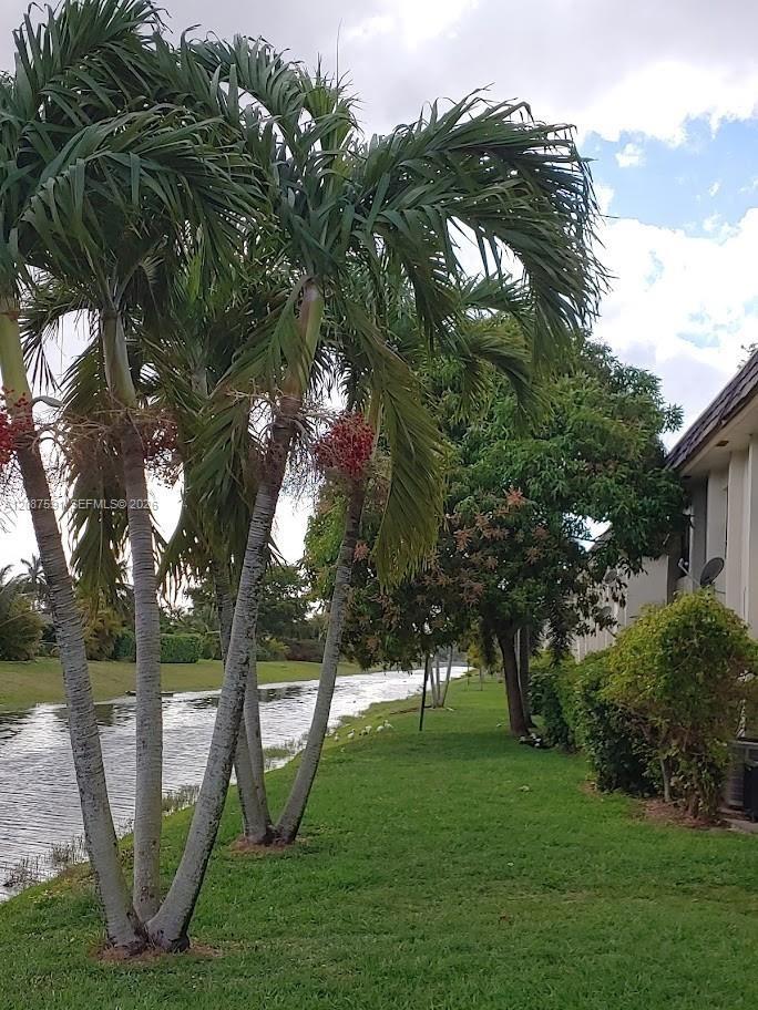 11128 Royal Palm Blvd # 10 — Photo 3