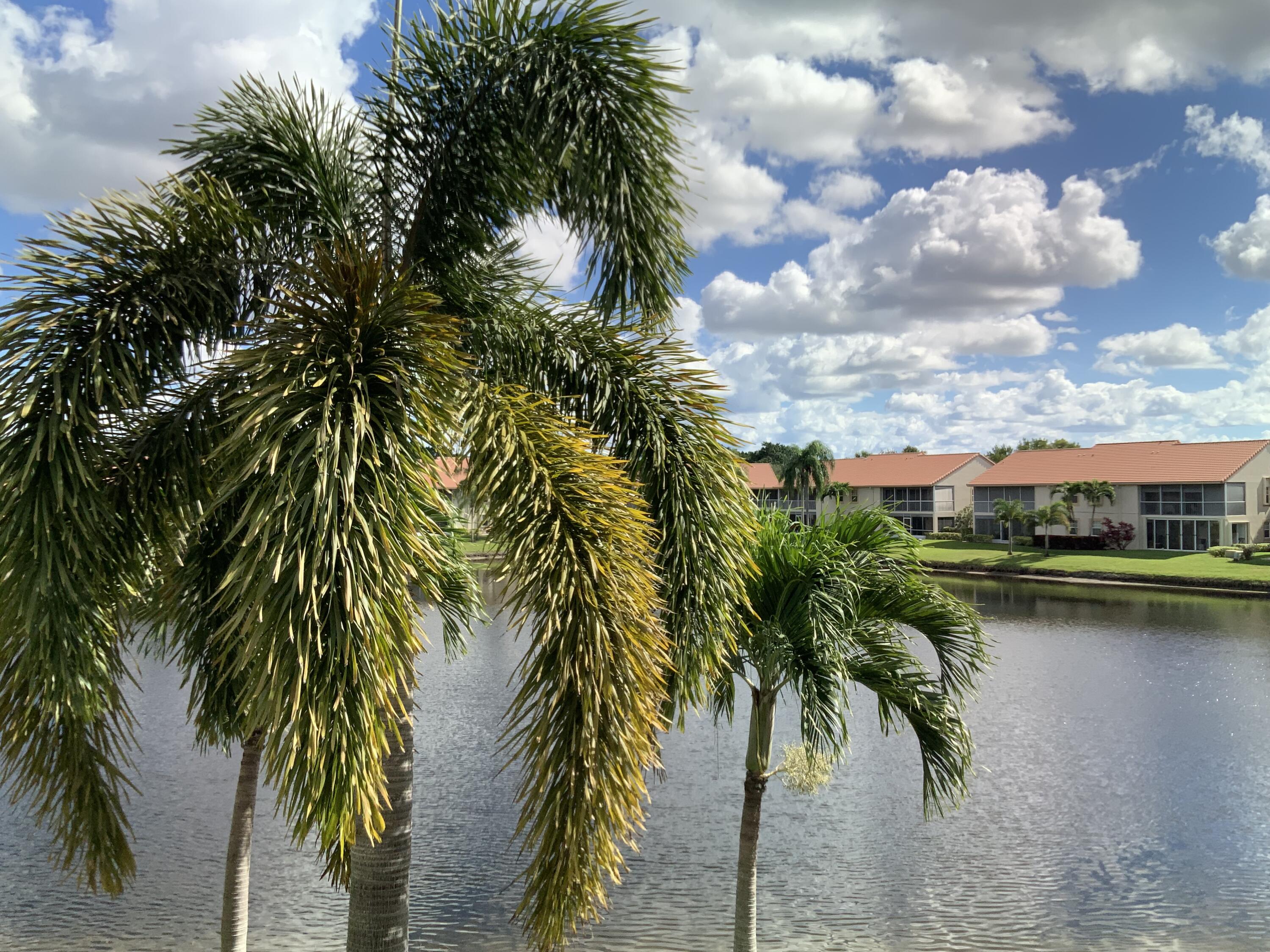 14356 Emerald Lake Drive # 3, Delray Beach FL 33446