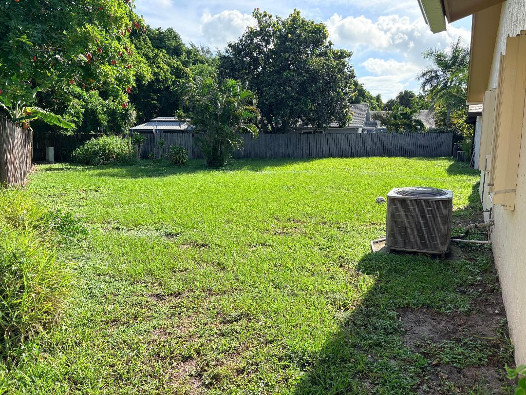 SIDE YARD